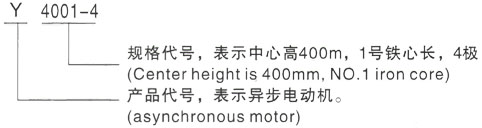 西安泰富西玛Y系列(H355-1000)高压邗江三相异步电机型号说明
